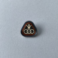 Torontolympiad (Paralympics) Pin